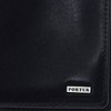 Porter 110-02925 Scene Pass Case, Braun