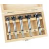 ENT 5-Piece HW Forstner Bit Set - Diameter 15 /