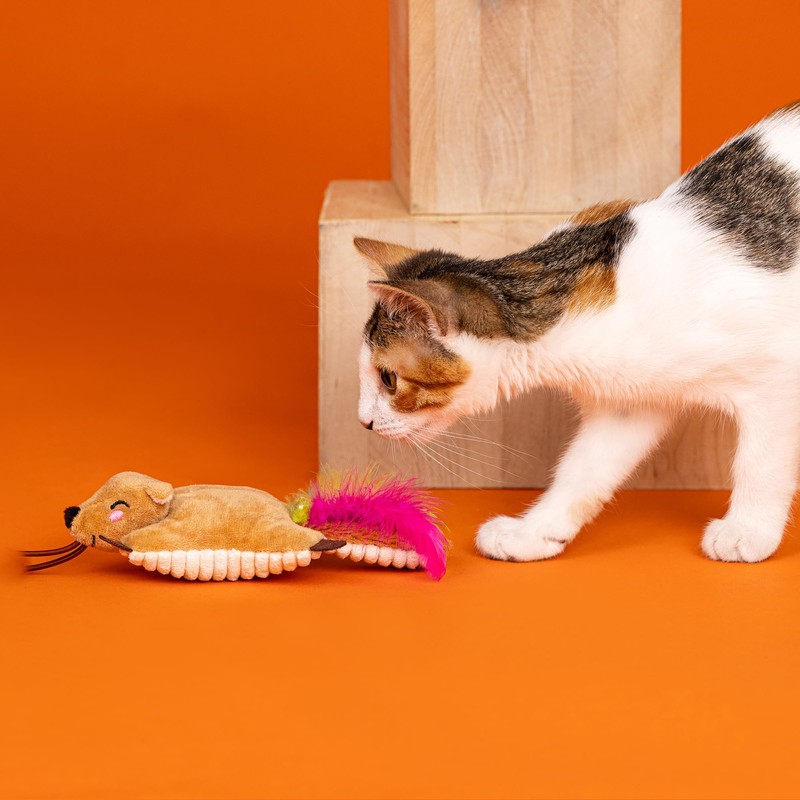 Fringe Studio Launcher Cat Toy Catch ME Flyin', Pet Shop