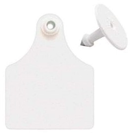 ALLFLEX USA GXF/GSMW 319281 Ear Tag, Blank, White, Maxi