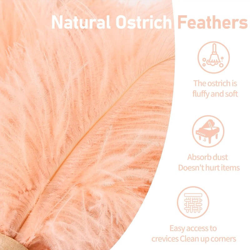 Ostrich Feather Duster 12 Inch Handheld Duster Supplies, Wooden Handle