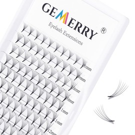 GEMERRY 6D Eyelash Extension Volume Eyelashes Ready Fan Eyelashes 0.07 D Curl 8-14 mm Mix 6D Lash Extensions Tufted Eyelashes by GEMERRY (6D-0.07-D-Mix)