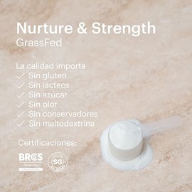 SESEN - Colágeno Hidrolizado en Polvo Clásico Grassfed 500 g - Sin Sabor, Sin Azúcar, Suplemento Alimenticio, Péptidos de Colágeno en Polvo, Collagen Peptides