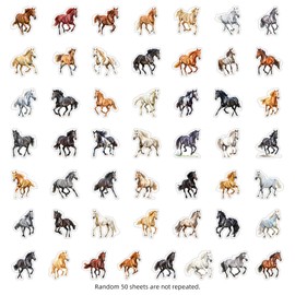 50 Pcs Horse Stickers Pack for Teens Adults, Horse Riding Stickers, Cool Vinyl Waterproof Decals for Water Bottles Luggage Computer Skateboard Laptop Phone Guitar