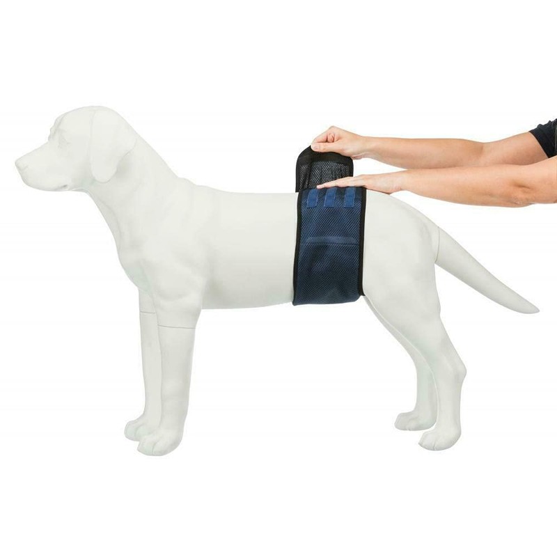 Trixie Bauchband für männliche Hunde, L: 55-65 cm