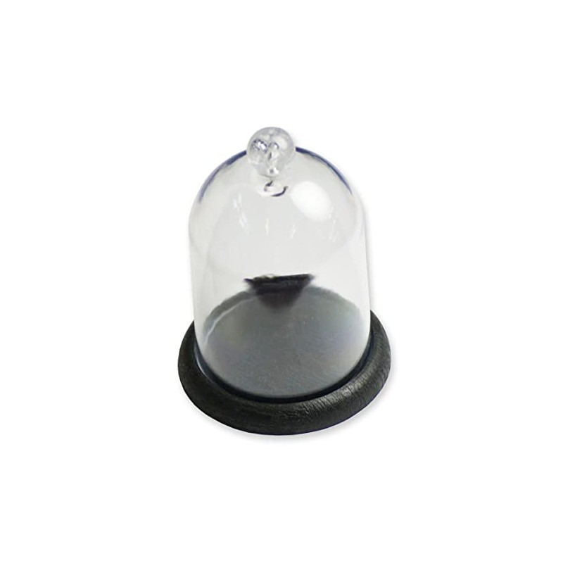 Pocket Watch Display Dome Plastic Stand Holder Hanging Pocketwatch Dust