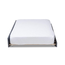 Baxton Studio Trundle, Single, Grey