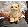 Hansa Ginger Kitten Plush