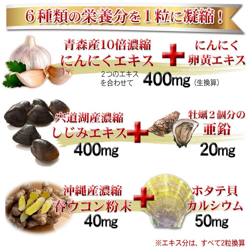 大日ヘルシーフーズ 元気隆盛粒 60粒入 6袋 にんにく卵黄 しじみ ウコン 亜鉛 配合 糖衣粒タイプ