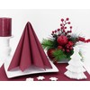 50 APARTina Napkins Fabric-Like Airlaid Plain Colour: Berry Size: 40