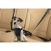 Pet Seat Belt Harness - Medium