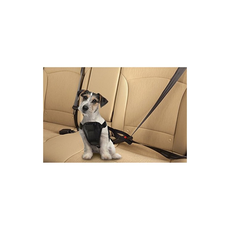 Pet Seat Belt Harness - Medium