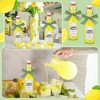 Teenyyou 8 Set Swing Top Glass Bottles for Limoncello Homemade