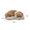 GeKLok Simulation Sleeping Cat Toy, Lifelike Sleeping Cat, Realistic Sleeping