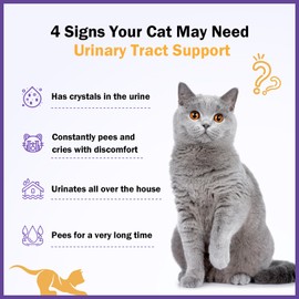 Urinary Tract Support for Cats - UTI Treatment for Cats - Urinary Tract Health, Relieves Urinary Crystals, Kidney and Bladder Support Supplement, 2 oz CATNEW