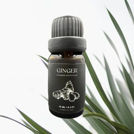 Essential Zen Pure Ginger Essential Oil for Aromatherapy and Wellness - Fitness, Health