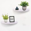 ZELURA Small Floating Plant Shelves Set of 2 - Rustic