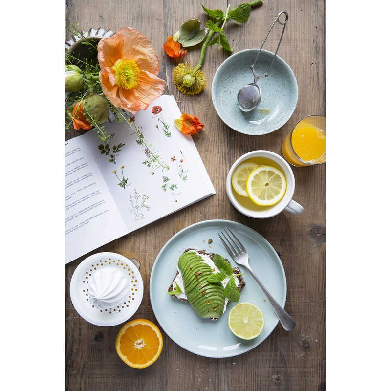 GastroMax Citrus Juicer - Easy Juicing of Limes, Lemons and