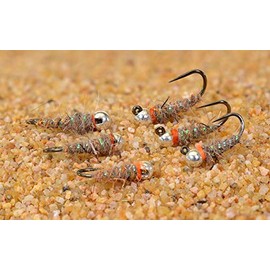Region Fishing Tungsten Walt's Sexy Worm Jig Head Fly - Euro Nymph Tied on Hanak Hooks - 6ct Packs (Assortment)