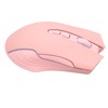 Wireless Mouse 2.4G Rechargeable USB RGB Professional Grade Optical Sensor