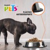 Fancy Pets Plato Ligero para Perro de 24 Onzas, 680