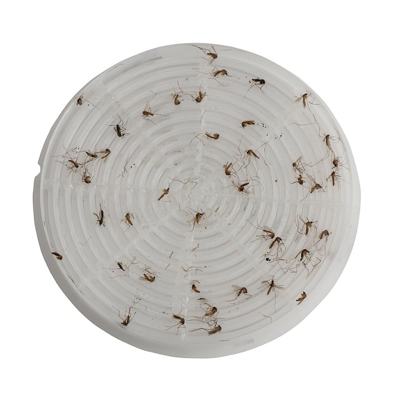STUCK Pro AGO Mosquito Trap Sticky Screen Refills, 2-Pack