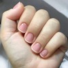 White French Tip Press on Nails Short Square False Nails