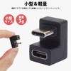 prendre Type C Converter Adapter, Set of 2, U-Shaped, USB