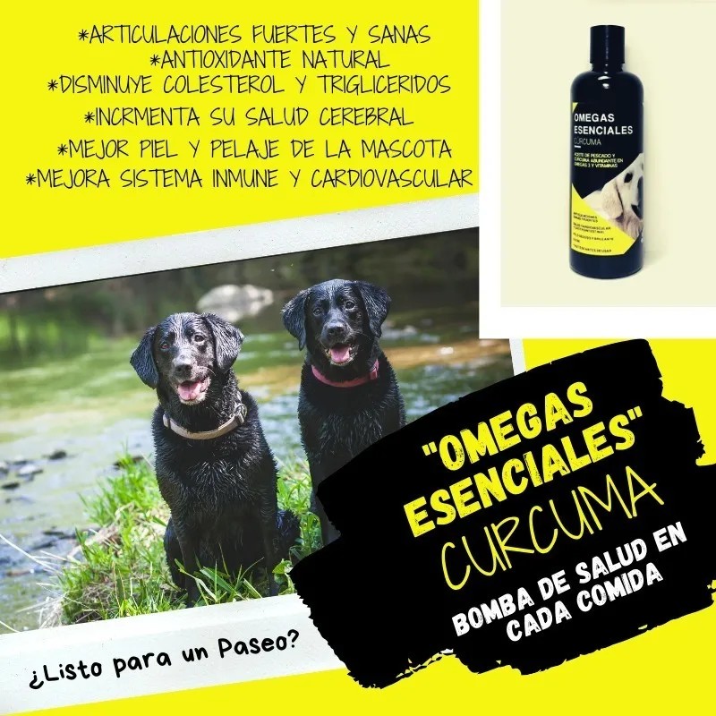 Aceite De Pescado P/ Perro Premium Espirulina Curcuma 500ml