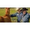 Texas Fence Fixer The Original Texas Fence Fixer - Made
