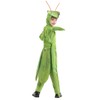 Seasons Child Praying Mantis Costume (M(8-10))