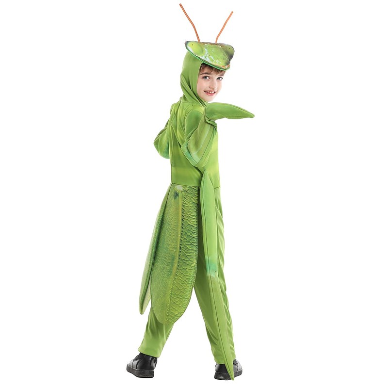 Seasons Child Praying Mantis Costume (M(8-10))