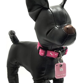 C.N. Dog Name Tag Stray Tag, Navy