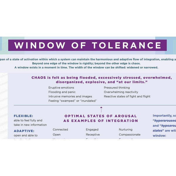 Window of Tolerance Laminated Card