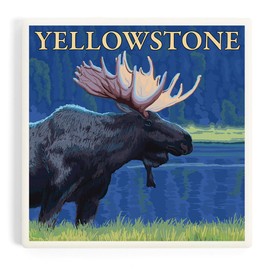 Yellowstone National Park, Wyoming, Moose at Night (Absorbent Ceramic Coaster, Single, Cork Back, Kitchen Table Decor)