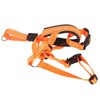 Dog Head Halter Muzzle, Padded Nose Bridge Breathable Orange Headcollar