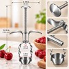 Stainless Steel Fruit Pitter for Cherries & Jujubes – Spring-Loaded