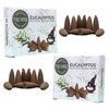 TRUMIRI Eucalyptus Backflow Incense Cones - Total 20 Incense Cones