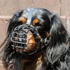 Dingo Metal Muzzle for Small Dog Puppy 20 cm Circuit