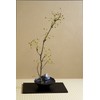 Nagae Saka Fuji Blue Fuji Flower Vase Water Basin