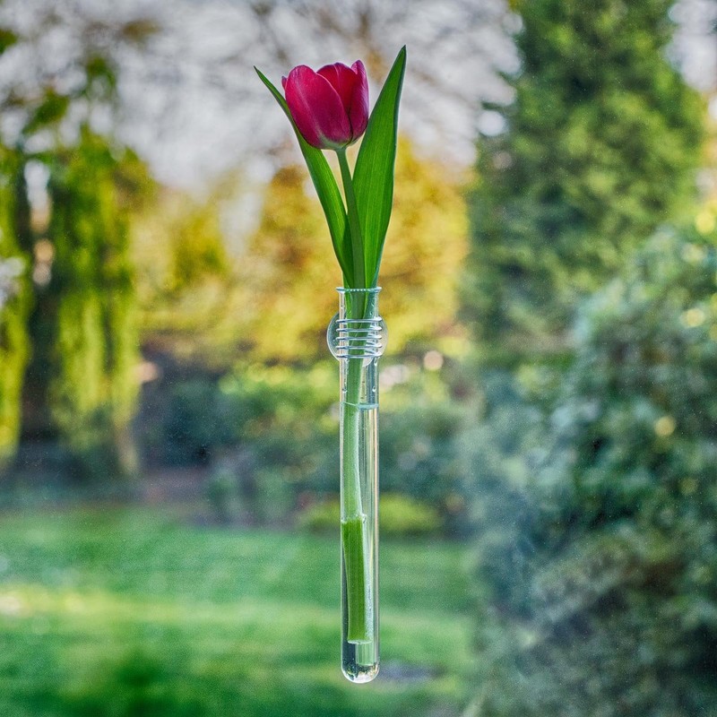 corpus delicti :: Rosie - Single Flower Vase - Test