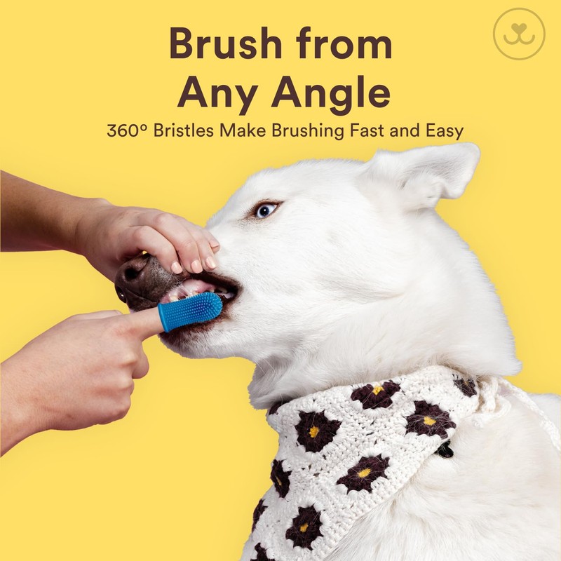 Jasper Large Dog Toothbrush, 360 Degree Pet Tooth Brushing Kit,