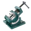 Vise with Angle Adjustment