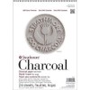 Strathmore (560-1 500 Series Charcoal Pad, 9 x 12 Pulgadas,