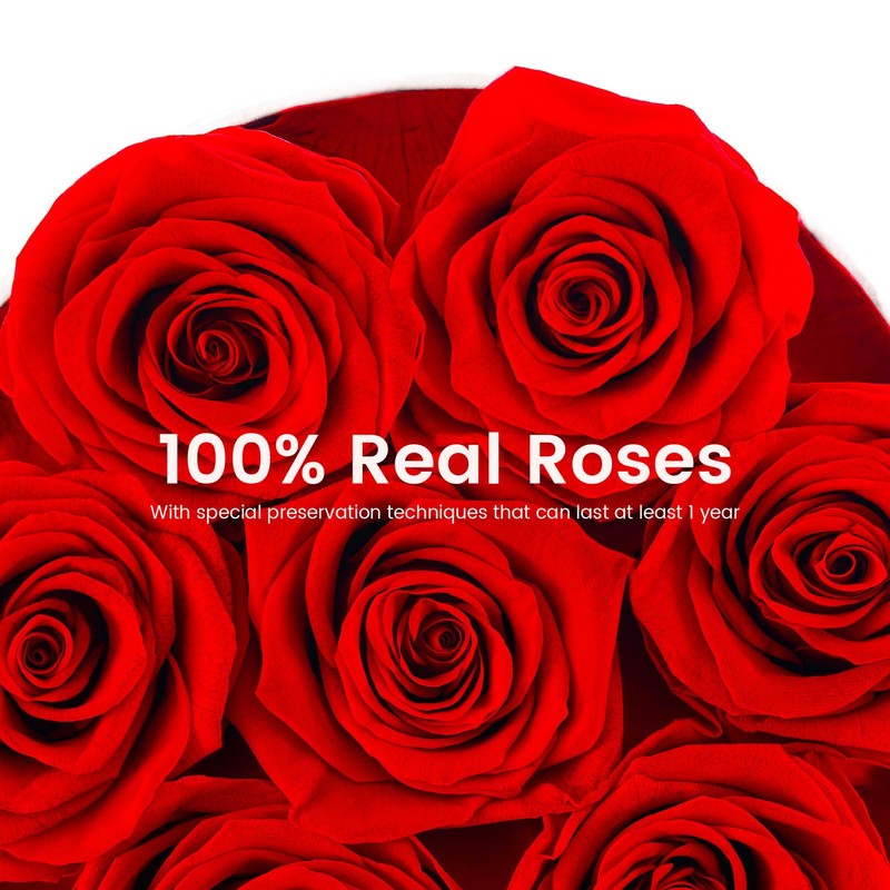 Beaulasting Long Lasting Preserved Roses in a Box Last a