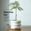 Cusmation 4.7 Inch Modern Plant Pot White Ceramic Planters for