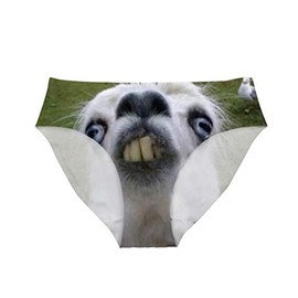Dellukee Funny Womens Underwear Breathable Hipster Panty Briefs Funny Alpaca Print for Bachelorette Party