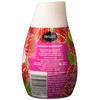 Renuzit Adjustables Gel Air Freshener, Raspberry, 7 Ounce
