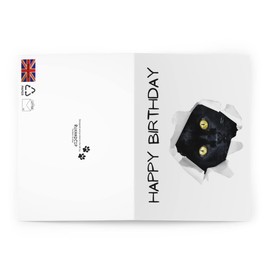 Ruxadcip - black cat out of card Birthday greeting card