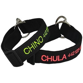 INVENTOINVENTOS.COM Collar Personalizado Resistentes Mega Forzza. Ideal para pasear Perros Mega Fuertes (sustituye Placa). Nombre y teléfono Bordados.
